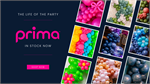 Prima Round Solid Color